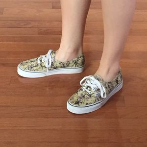 vans koala